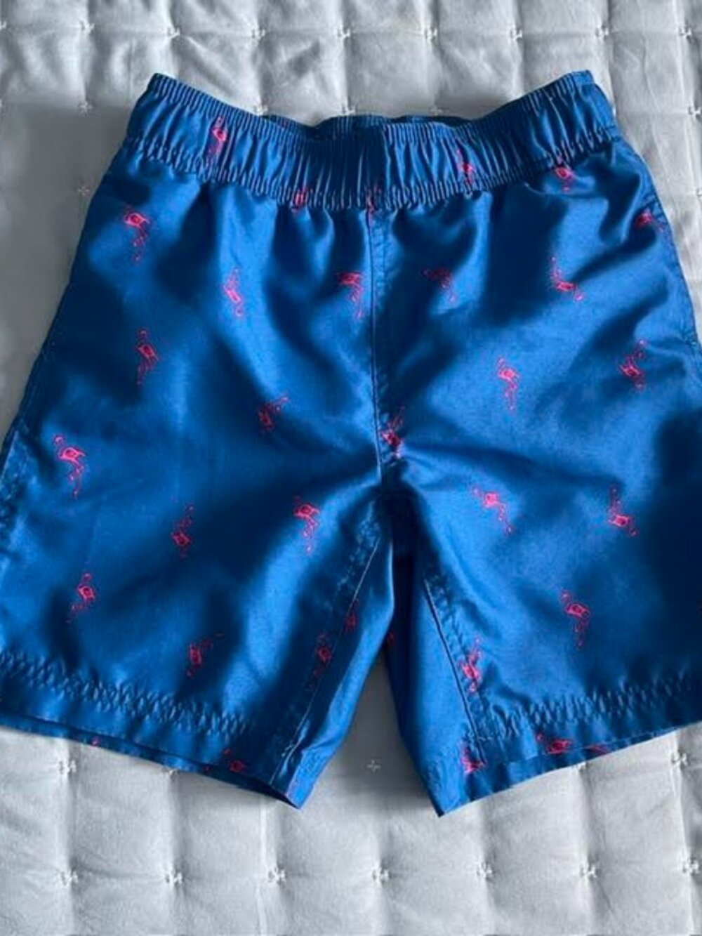 Arizona Jean Co. Boys Swim Trunks Size 6/7 Flamingo Print Blue Pink